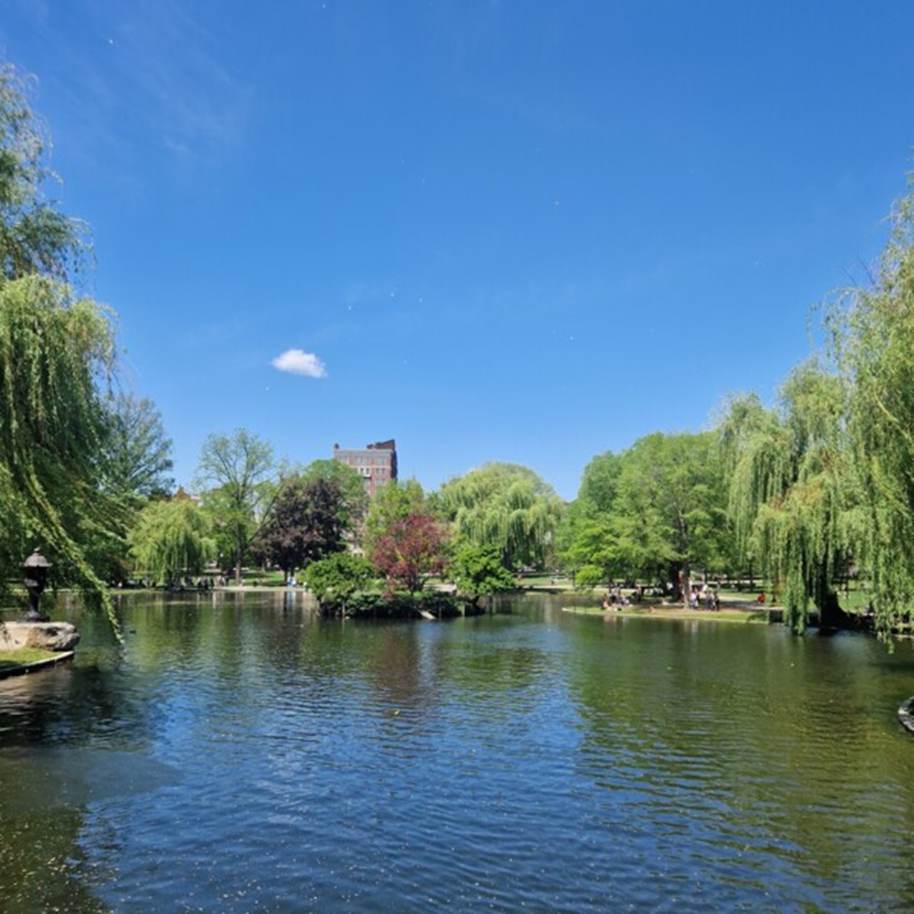 Boston Common