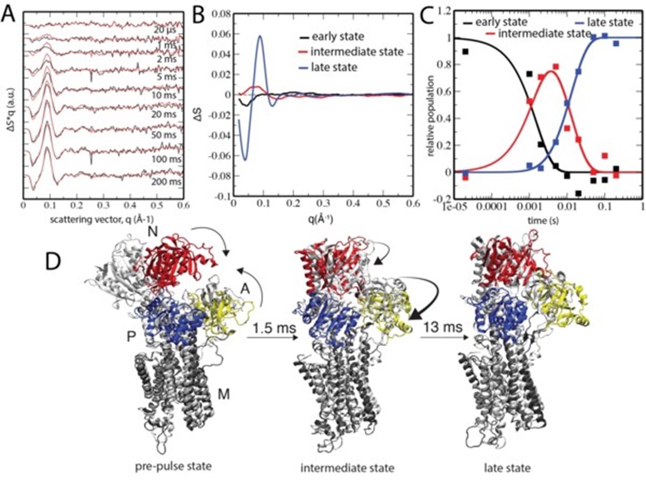 Magnus P Andersson Lab bild2