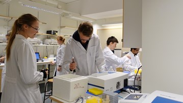 Studentwebben