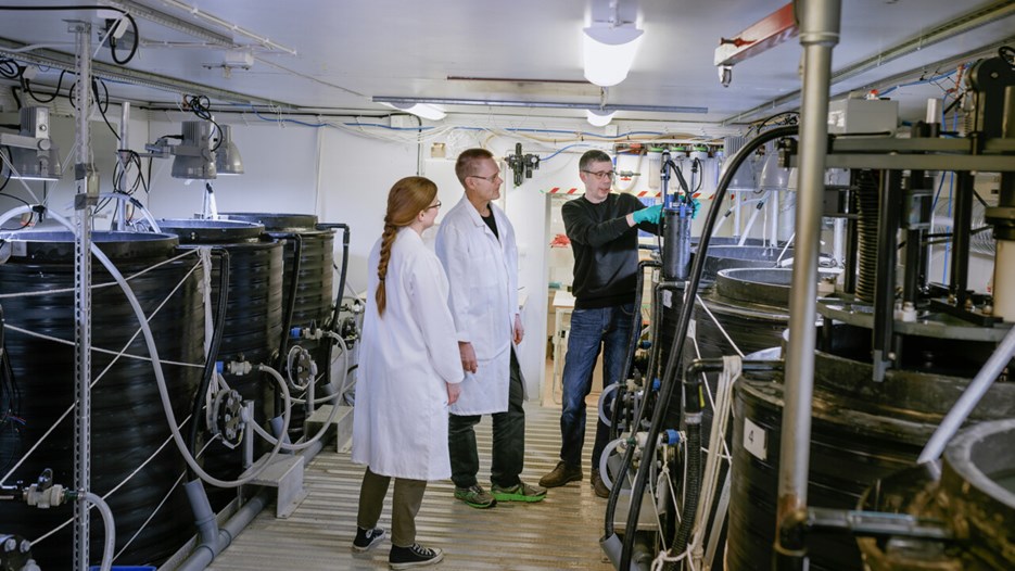 Tre personer arbetar i ett laboratorium med många stora svarta mesokosmer