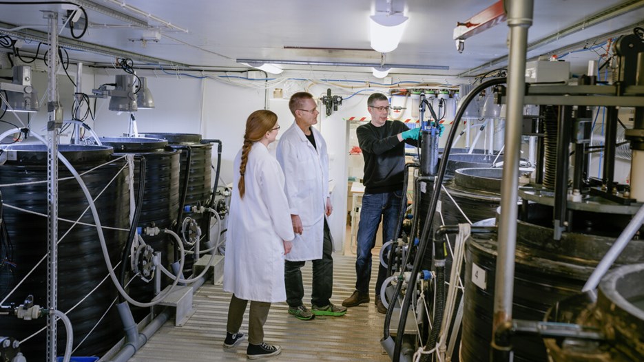 Tre personer arbetar i ett laboratorium med många stora svarta mesokosmer