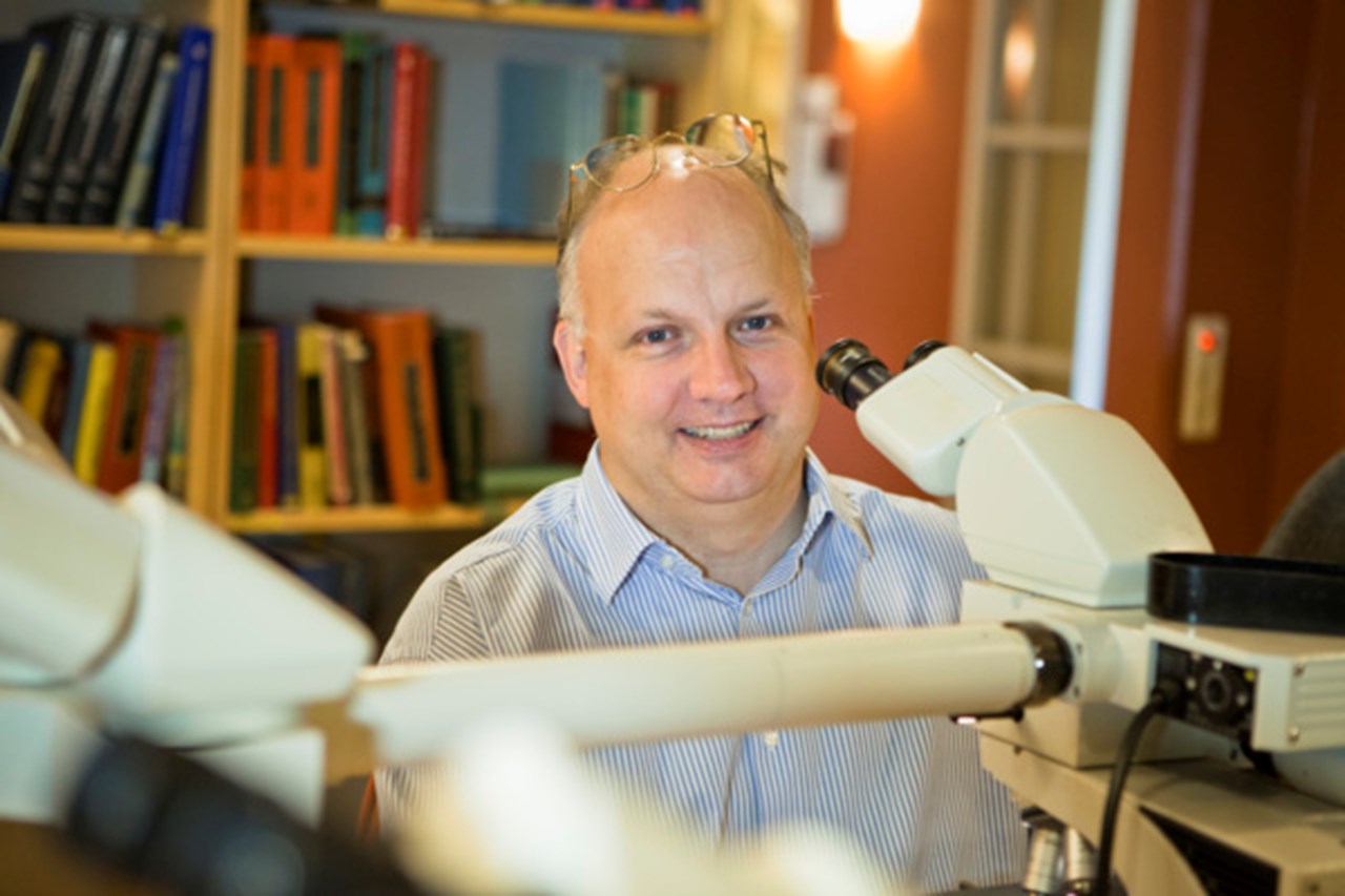 Thomas Brännström vid Institutionen för medicinsk biovetenskap, Umeå universitet. Här i labbet.