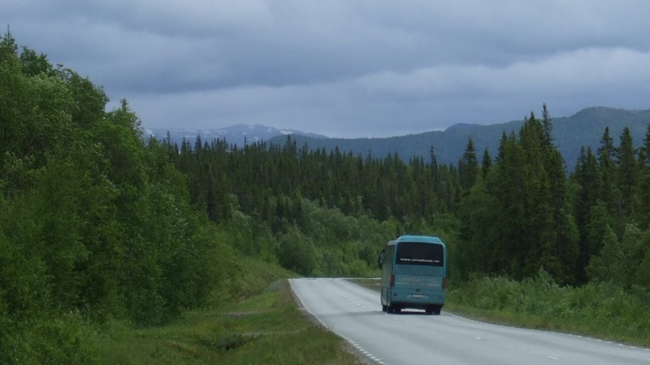 Bus on a road in a woodland landscape