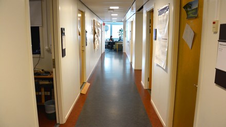 C2-korridoren