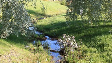 Photo of the campus stream.