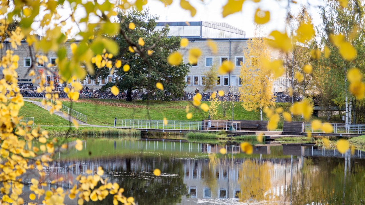 Höstfärger på campus. Vy över dammen mot Universitetsbiblioteket.