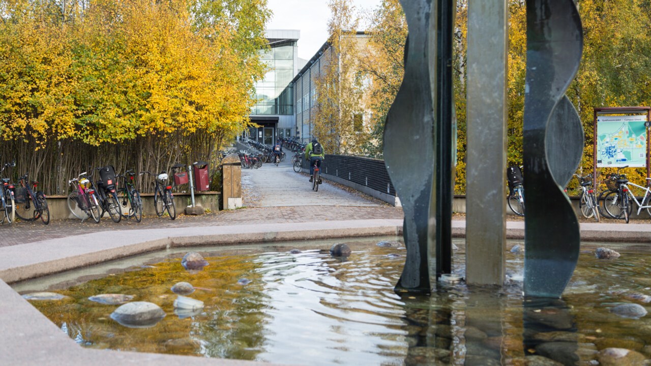 Höstfärger på campus.