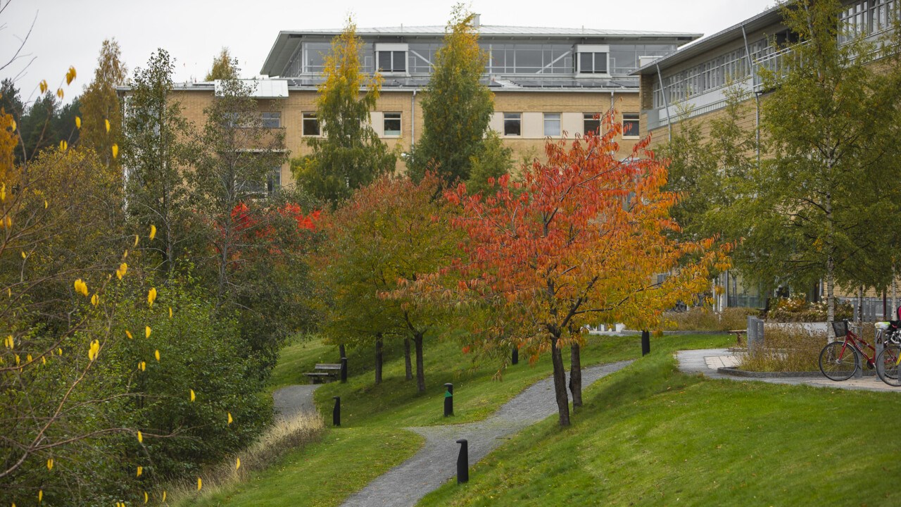 Campus i höstfärger