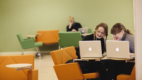 Happy students interacting with their computers at the University Library