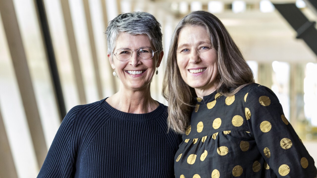 Claudia Lampic, professor i psykologi vid Umeå universitet, Lena Wettergren, professor i vårdvetenskap vid Uppsala universitet.