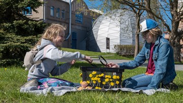 Två barn sitter på gräsmattan framför Curiosums domteater. Mellan sig har de en korg klädd med maskrosor.