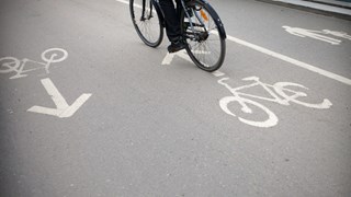 Bild på cykelväg