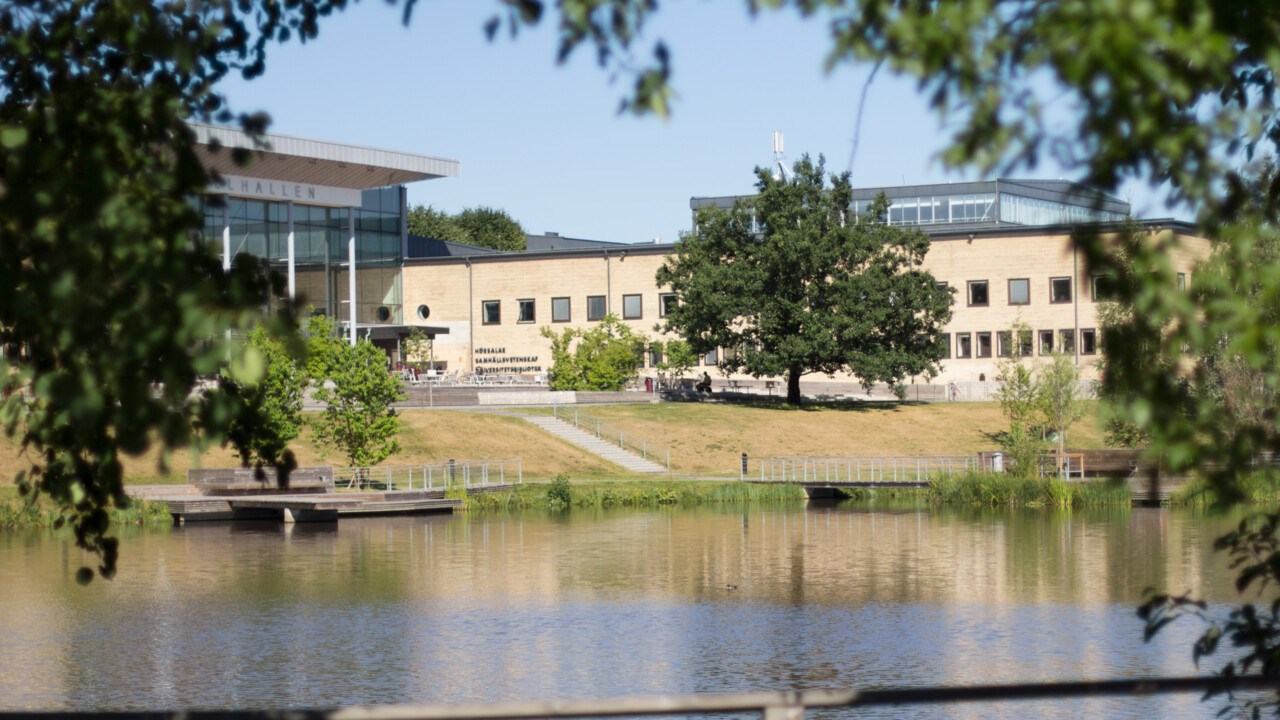 University Library