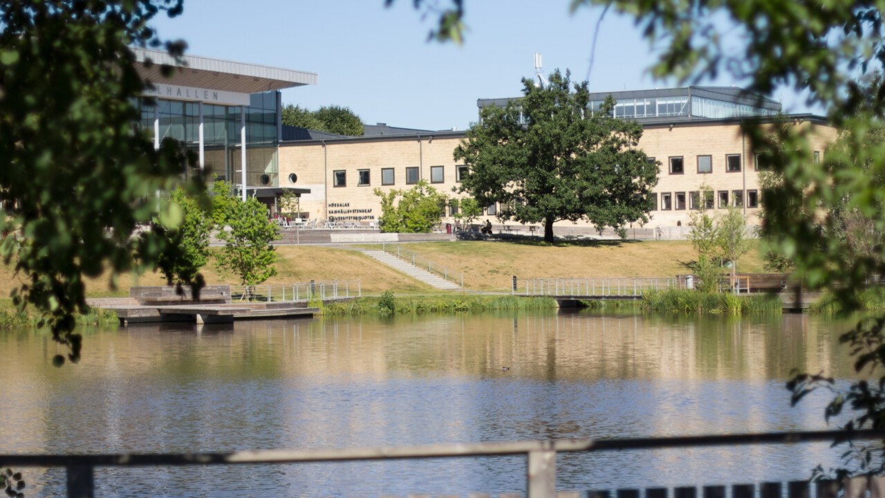 Campusdammen genom trädgrenar