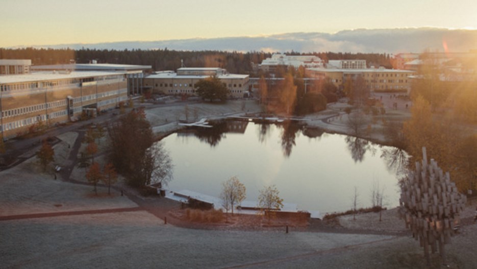 Översiktsbild över delar av Campus Umeå 