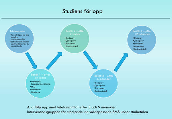 Grafik av Demand-studiens förlopp