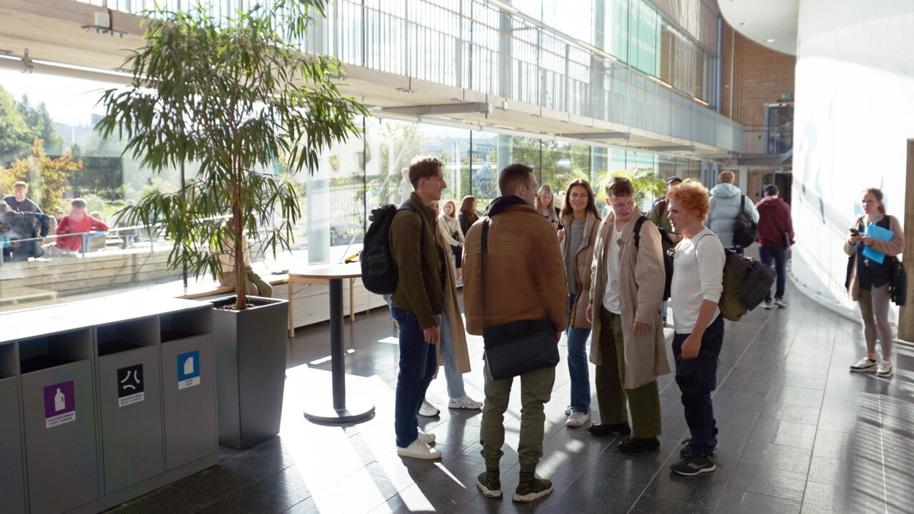 International Business and Economics Programme