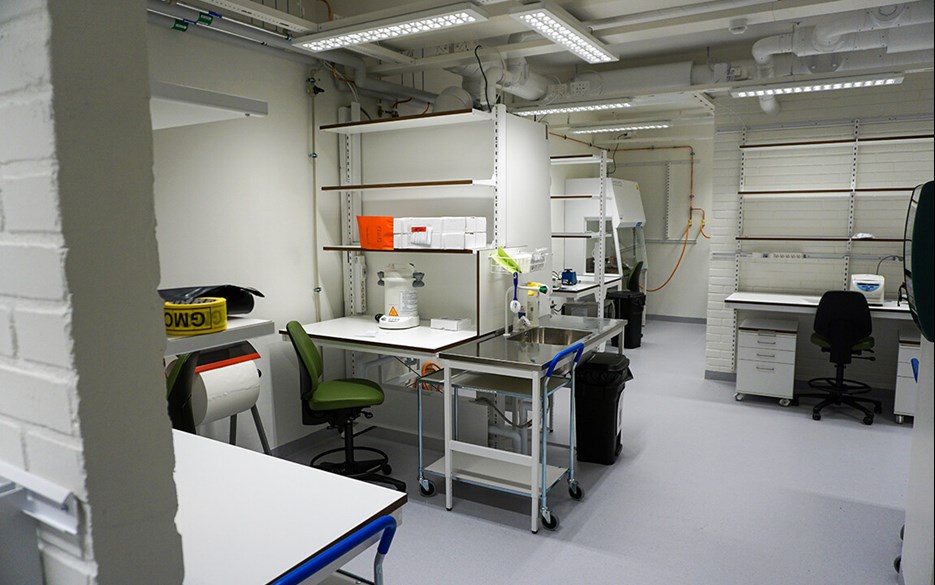 Laboratorium med vita bänkar, diskbänk, hyllor och viss laboratorieutrustning