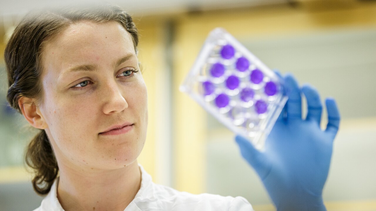 Ebba Rosendal, doktorand vid Institutionen för klinisk mikrobiologi, studerar ett antikroppsprov.