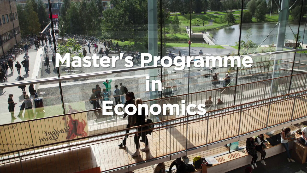 Master thesis microeconomics