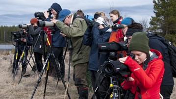 En dag på programmet - fågelexkursion 