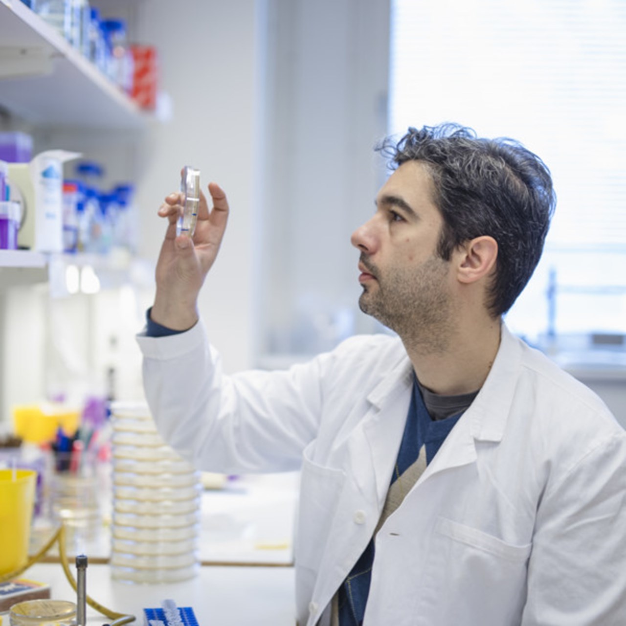 Porträtt på Felipe Cava, universitetslektor vid Institutionen för molekylärbiologi, Umeå universitet.