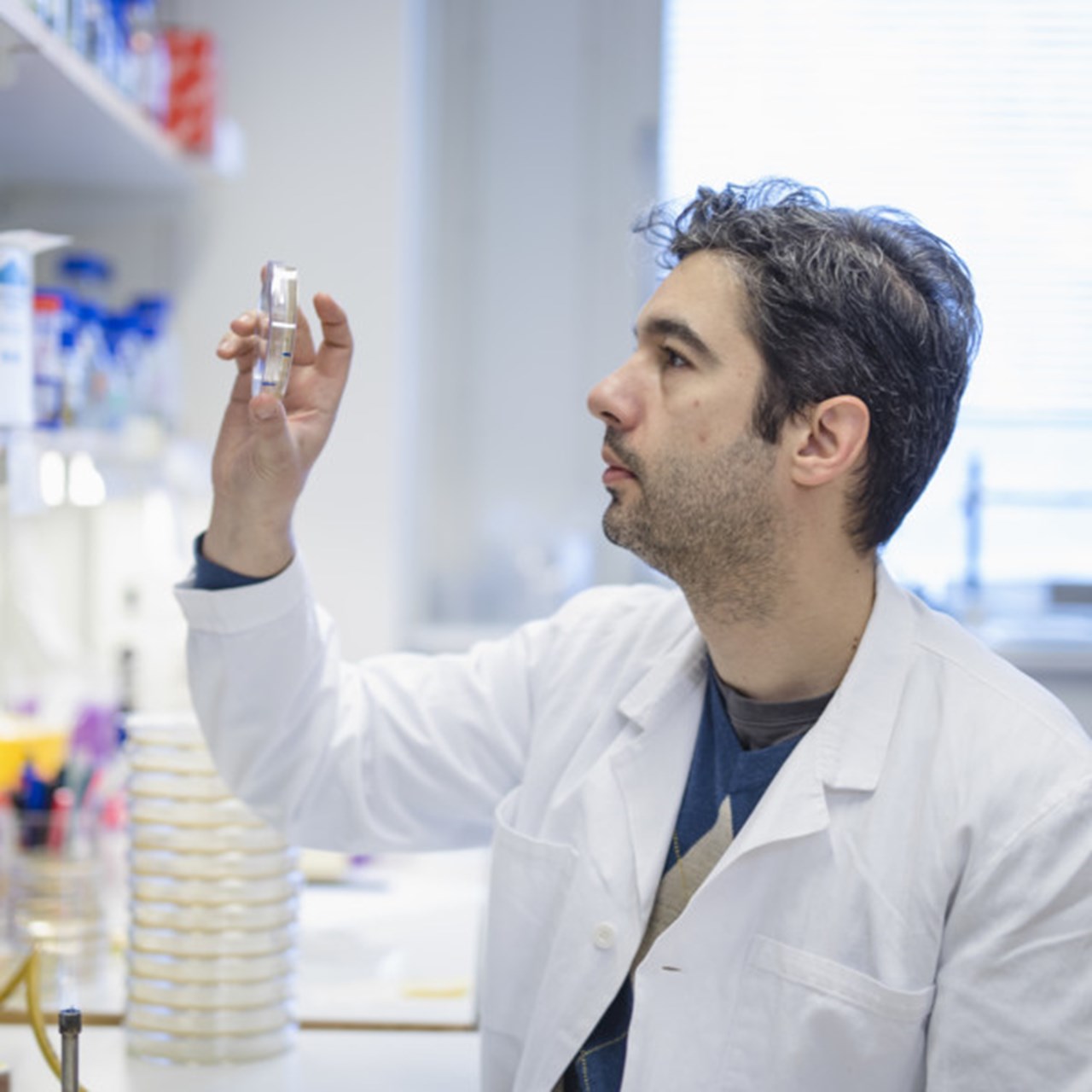 Porträtt på Felipe Cava, universitetslektor vid Institutionen för molekylärbiologi, Umeå universitet.