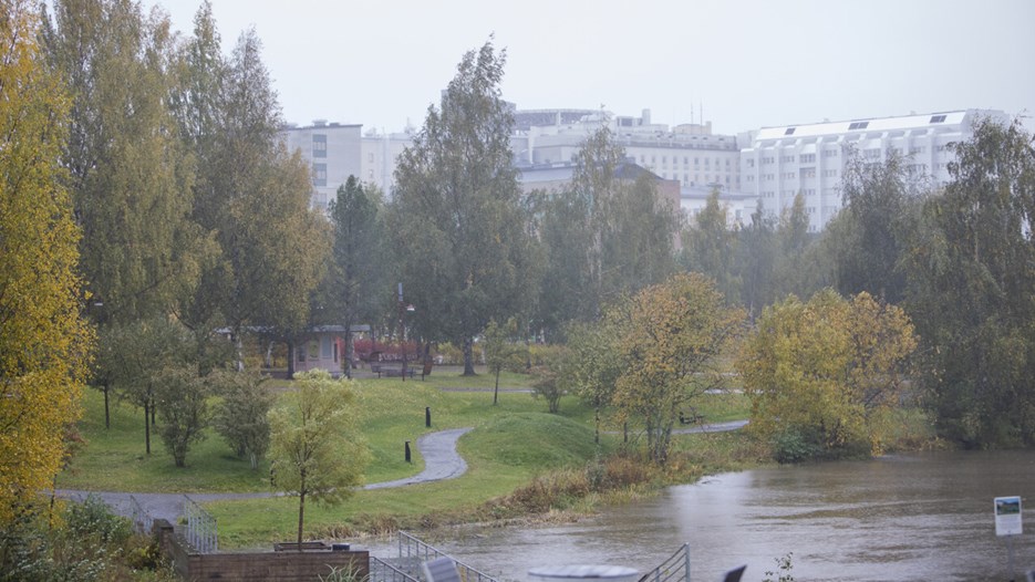 Höst på campus en regning dag 2021.