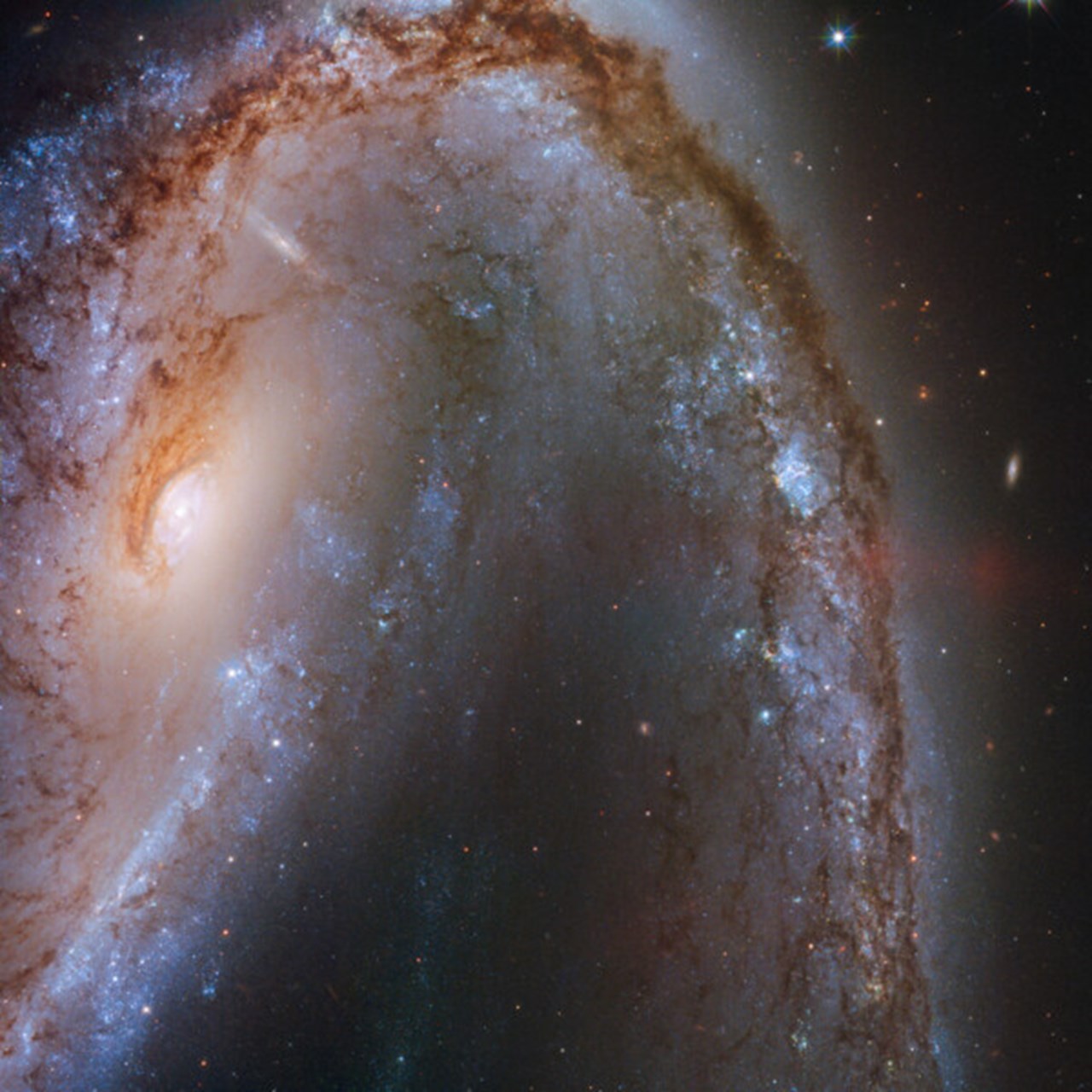 Galax NGC2442