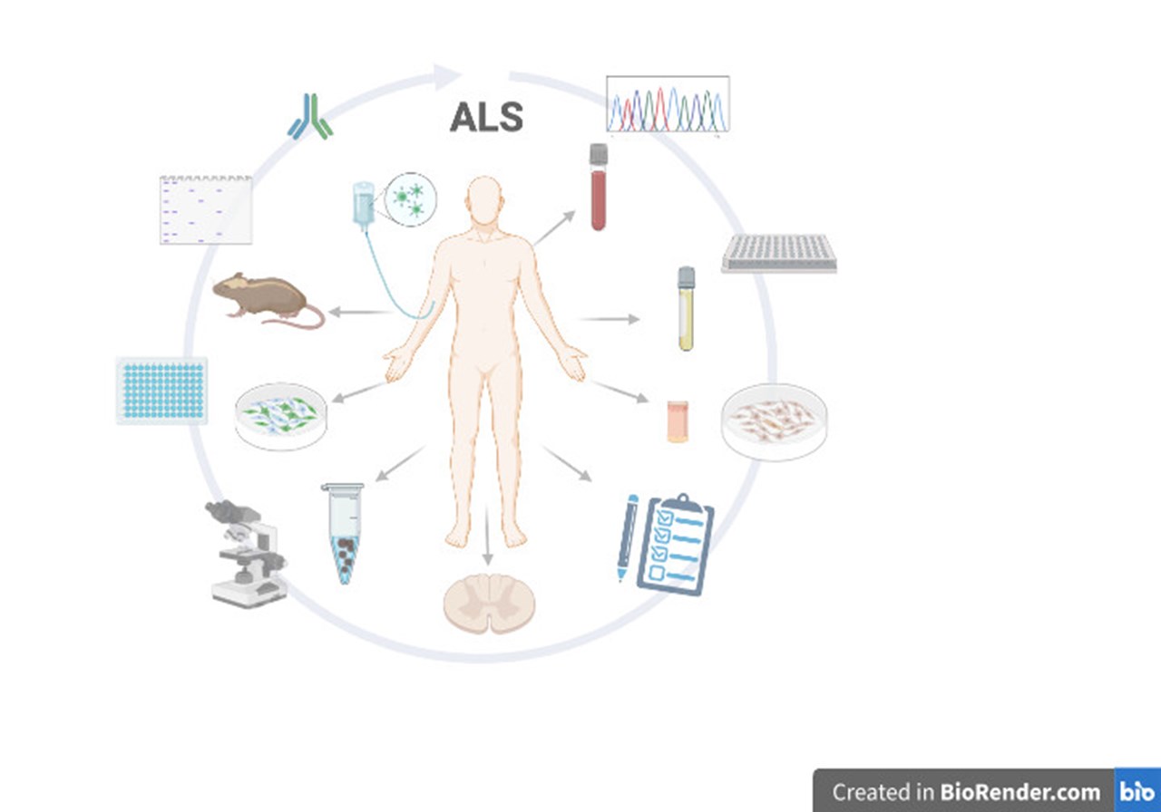 A human inside a circle with ECG, diagrams, mouse, virus etc.