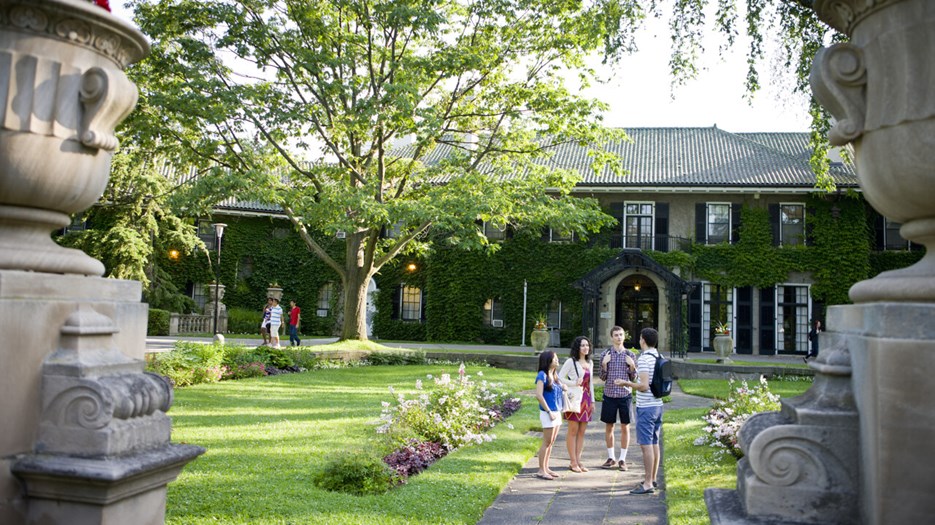York University