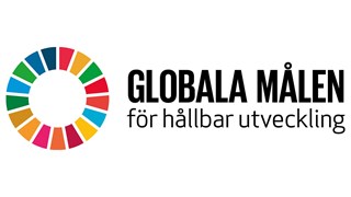 Bild av FNs globala målen för hållbar utveckling