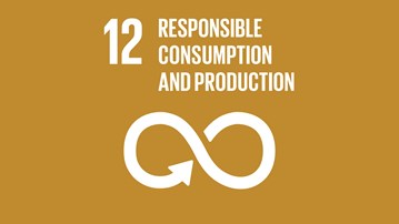 Goal 12 - Responsible Consumption and Production