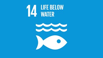 Goal 14 - Life Below Water