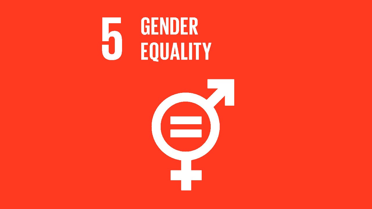 Goal 5 - Gender equality