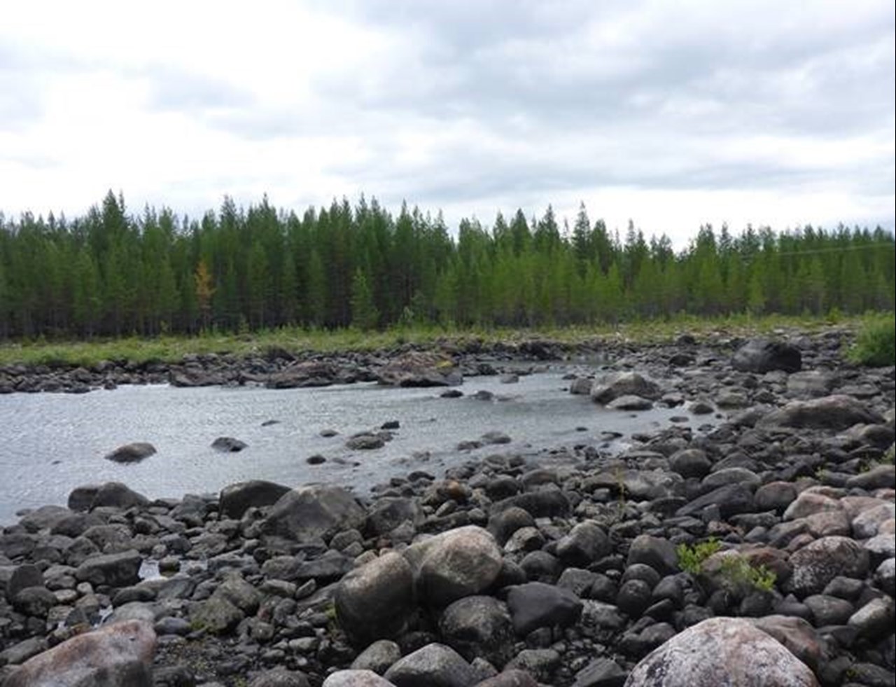 Grundforsens torrfåra