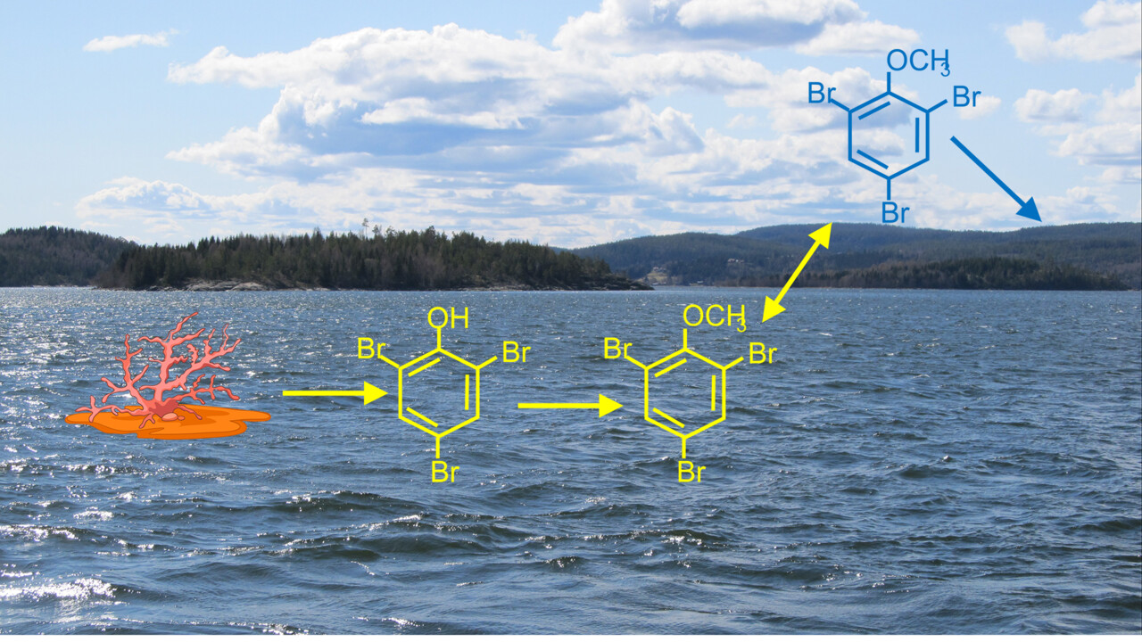 chemical structure of some halogenated substances in marine environment