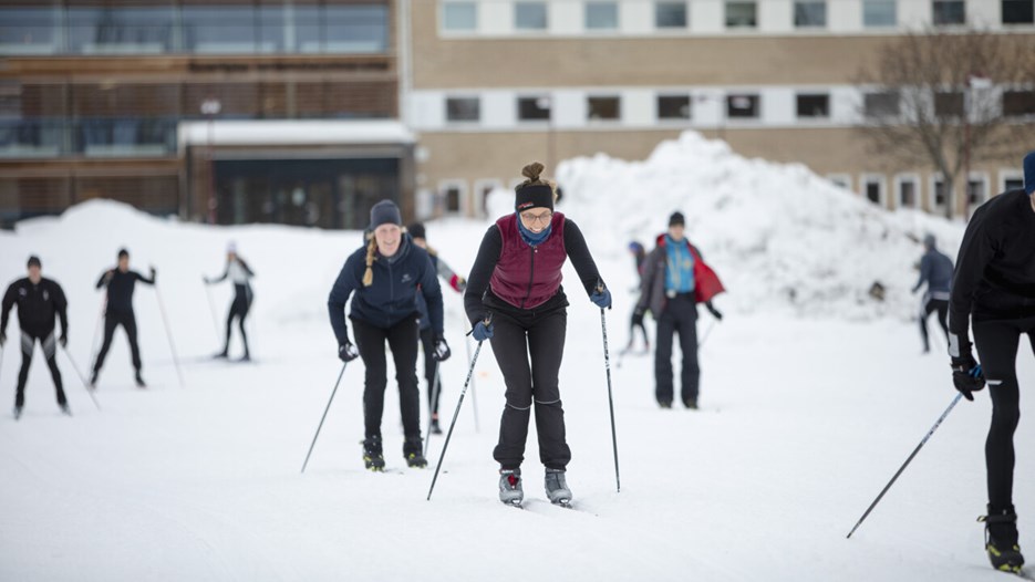 Hälsa på Campus