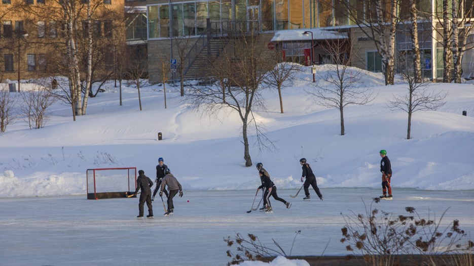 Hälsa på Campus