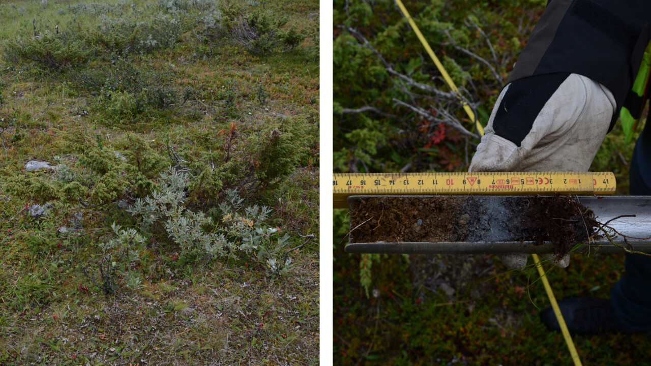 Left: Archaeological remains  of a hearth at Snuvrejohka in the form of a stone ring in the landscape. Right: Two hands sampling soil with a round instrument at Snuvrejohka.