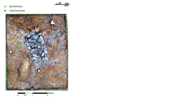 Photo of a hearth at the archaeological site Steintjorna in the Pasvik river valley. Found bone samples are marked with colored dots.