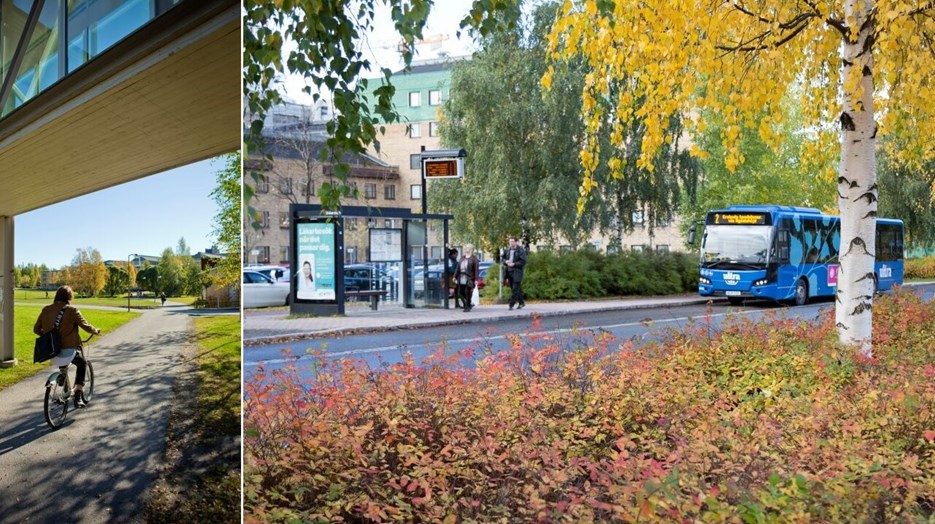 Sammansatt bild av bild på cyklist och buss som anländer till busskuren vid Universum om hösten.