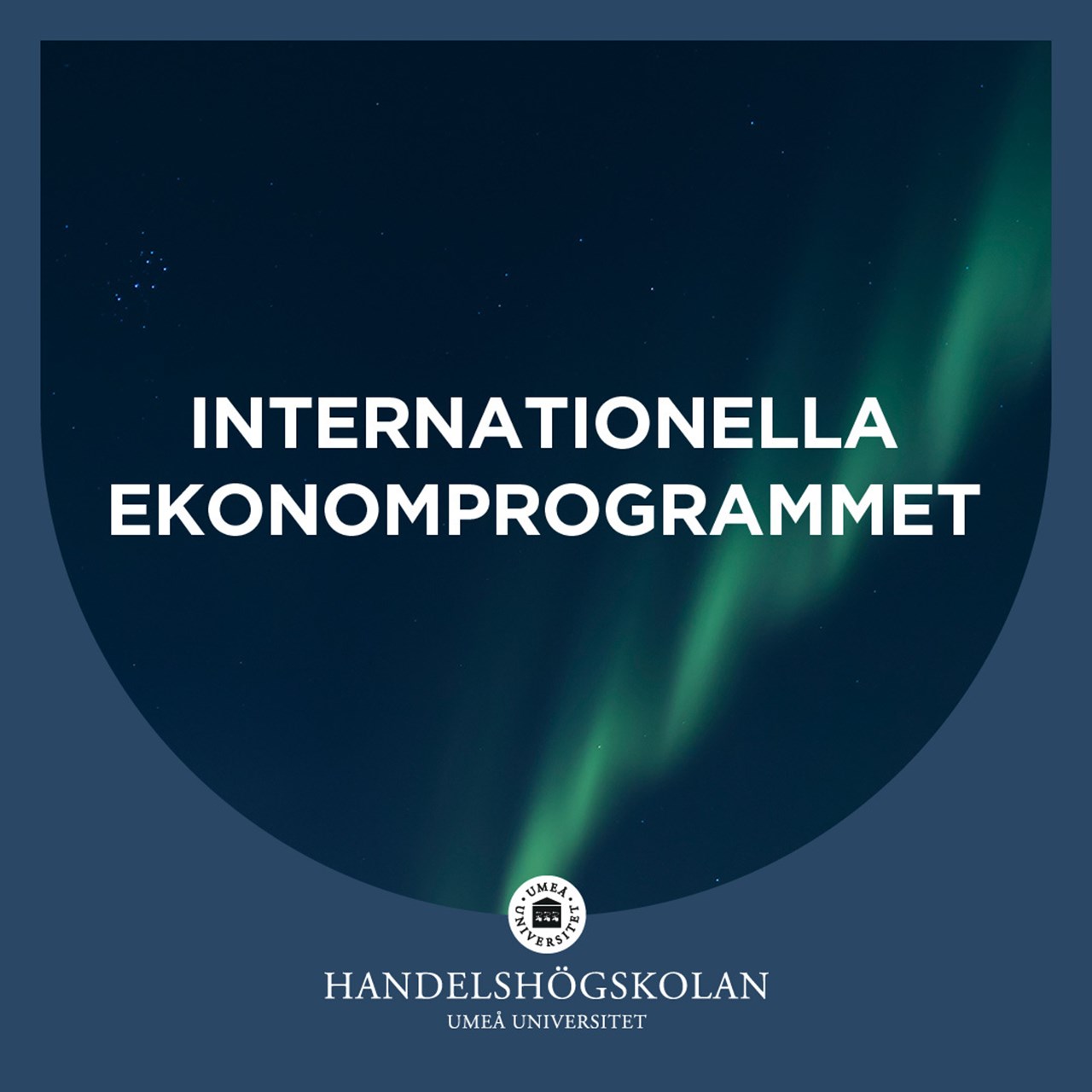 Internationella ekonomprogrammet