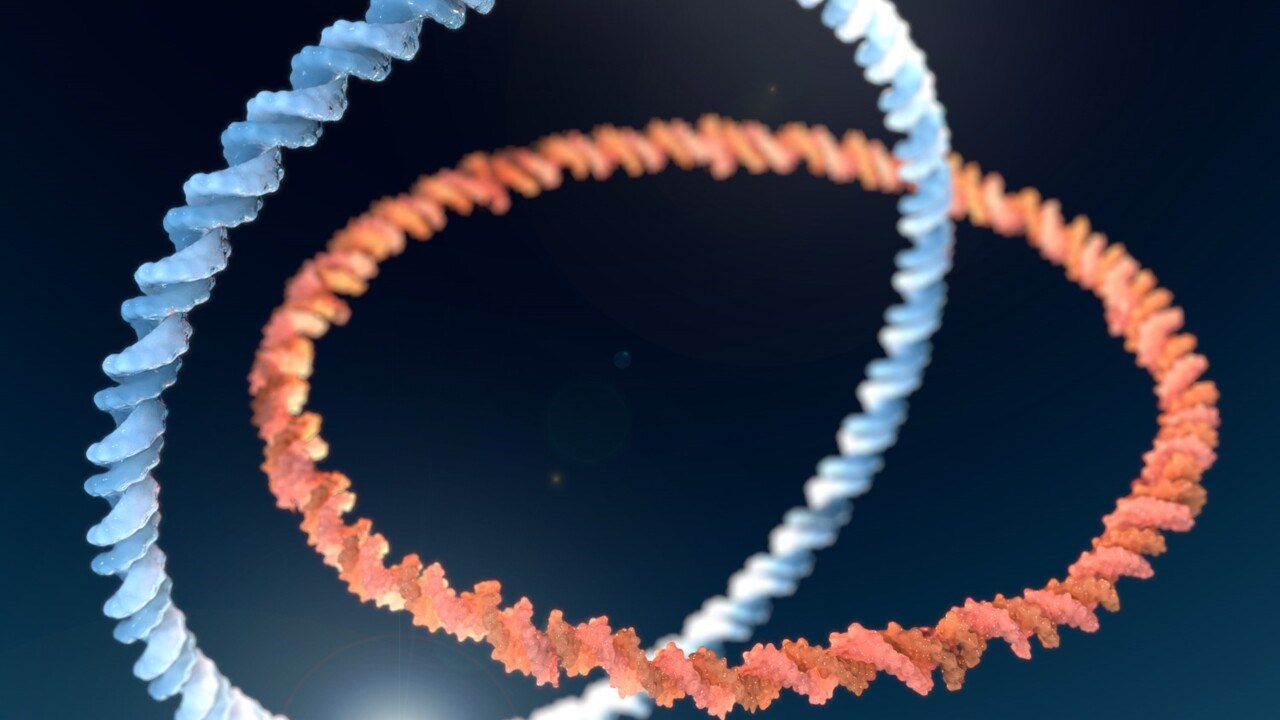 Illustration DNA i mitokondrier