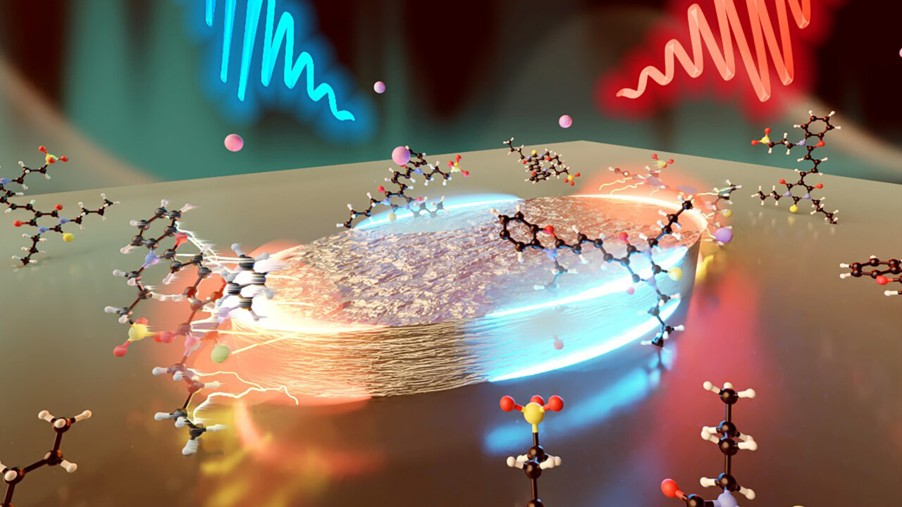 A pulse of light causes the polariton to disappear