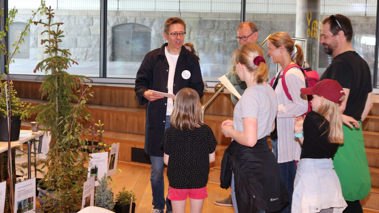 Johan Westin from Skogforsk presents the fascinating variation of forest trees.