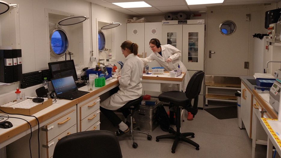 Två personer arbetar i ett laboratorium ombord på ett forskningsfartyg.