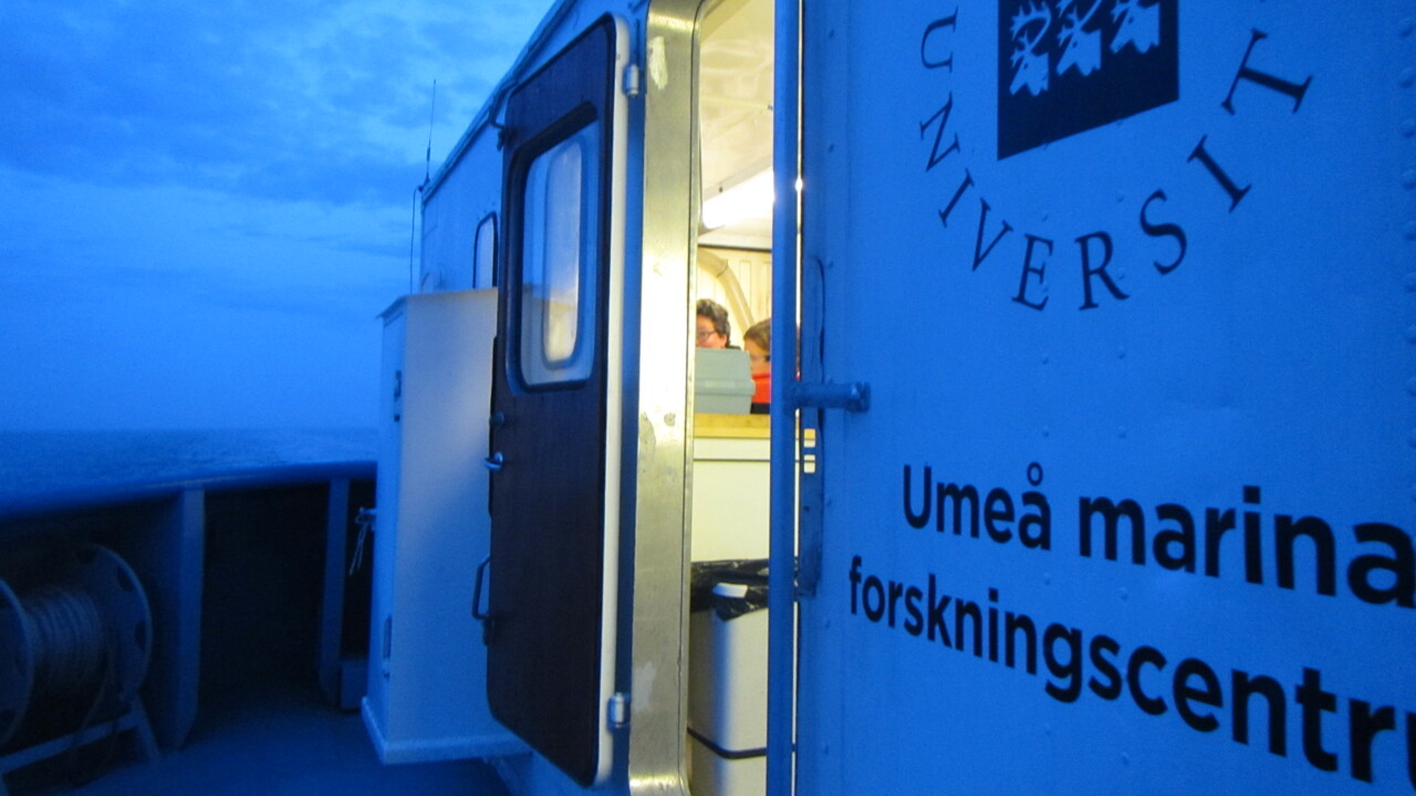 Vad är det som att dejta en marin 100 gratis Saudiarabiens dejtingsajt