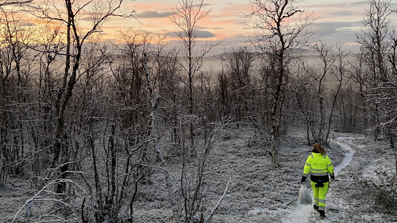 Bild på Stina Lundström, miljökonsult, i fältarbete