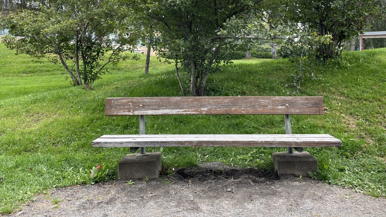En station i programmet rörelserika campus, bänken vid campusdammen